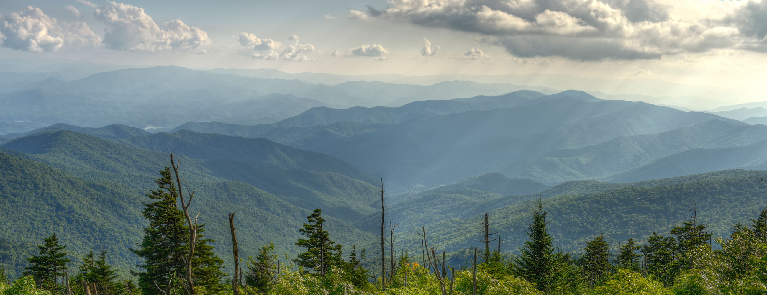 Carme Riccio Carme Riccio